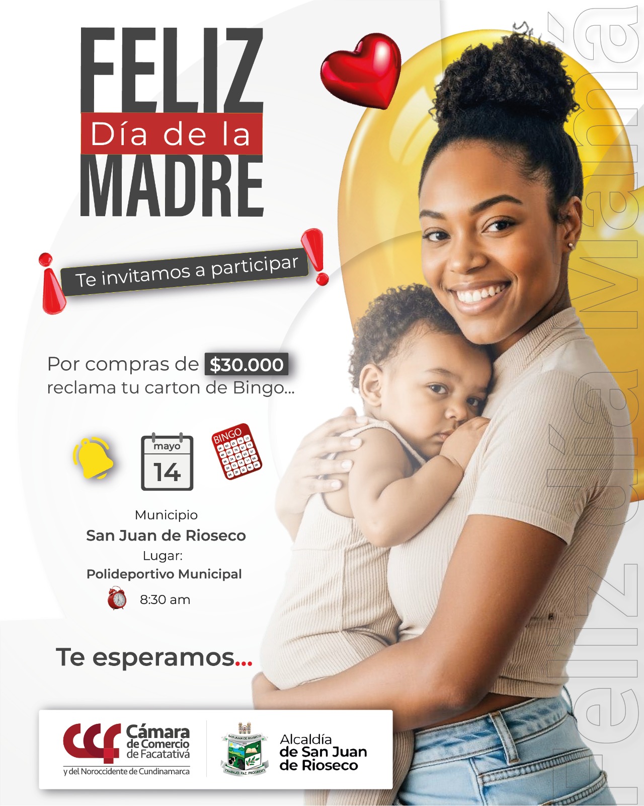 Gran Bingo Dia De La Madre