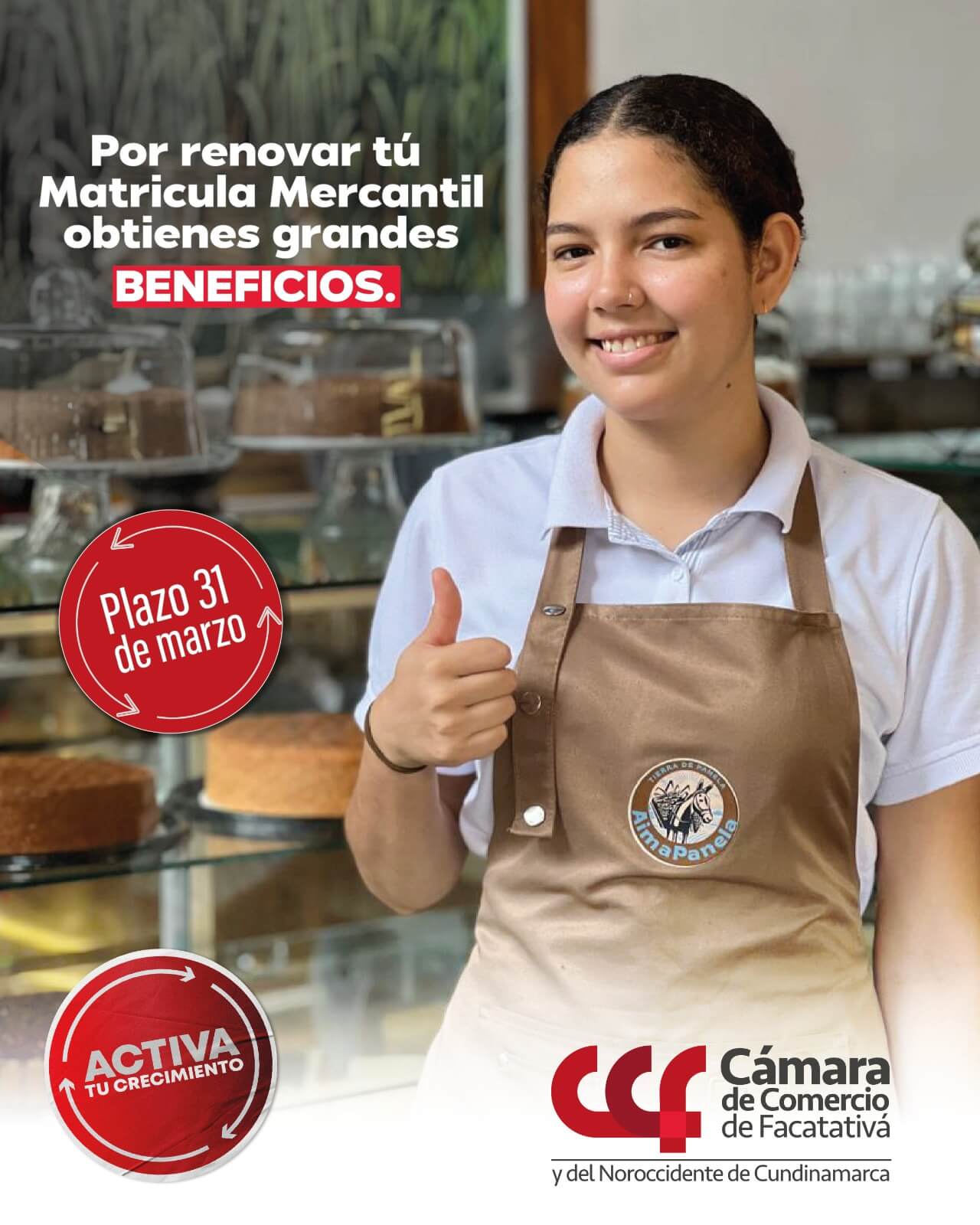 Renovacionmatriculamercantil