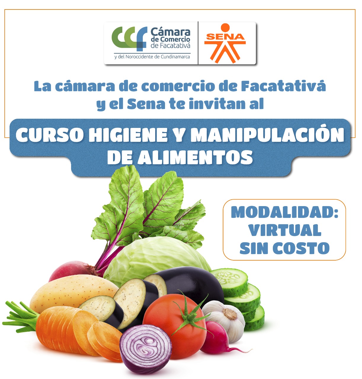 Curso Higiene Y Manipulación De Alimentos 14.01.23